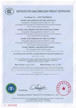 China National Compulsory Product Certification 3C-0202