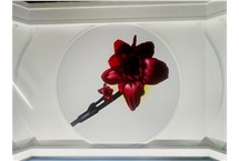 捍卫品牌尊严 | 广州珠江电缆维权案终局胜诉! 捍卫品牌尊严 | 广州珠江电缆维权案终局胜诉!