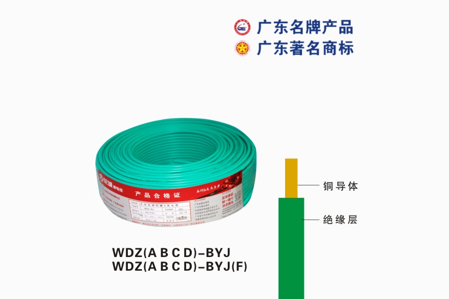 WDZ(A B C D)-BYJ